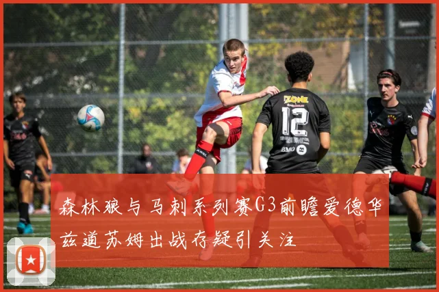 森林狼与马刺系列赛G3前瞻爱德华兹道苏姆出战存疑引关注